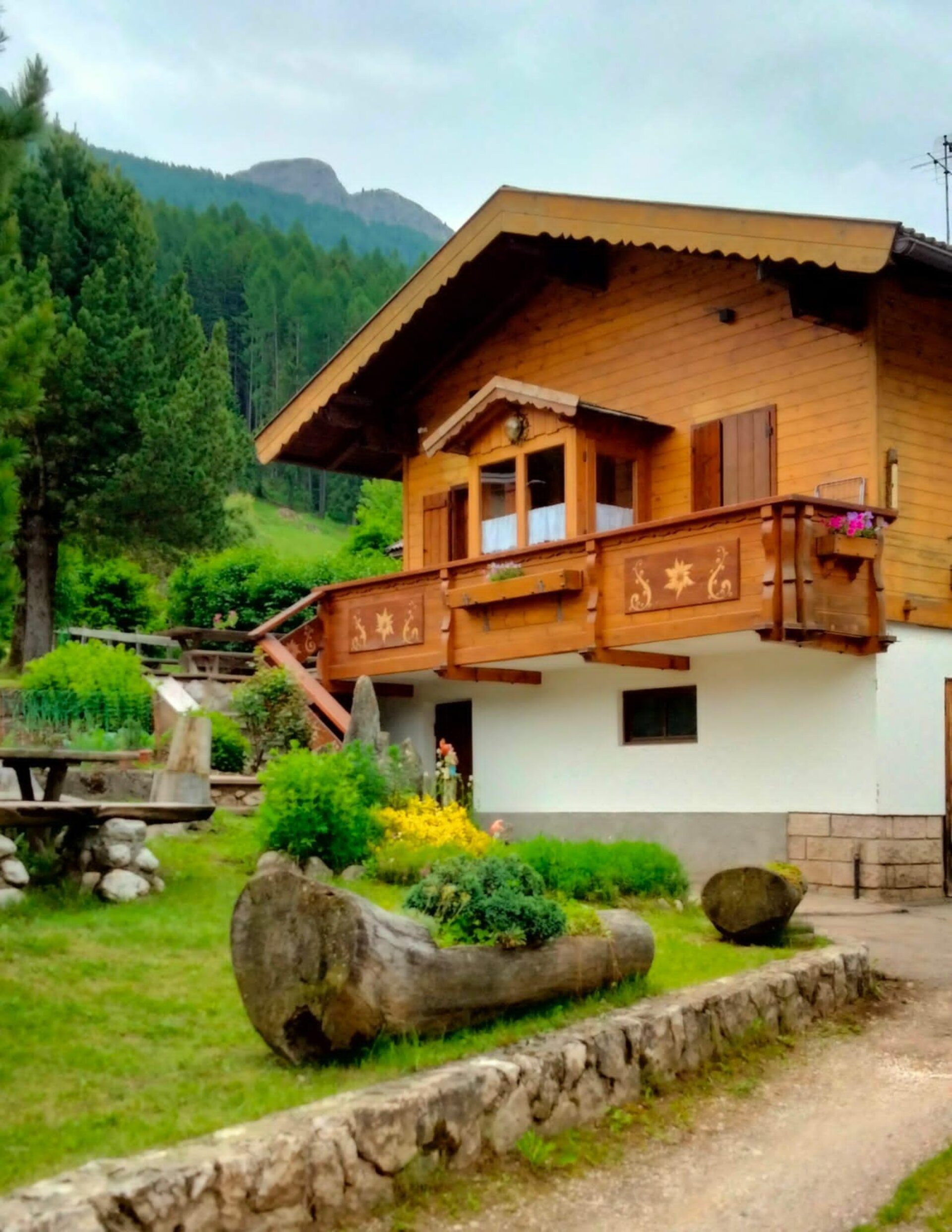 Pellegrin Antonio